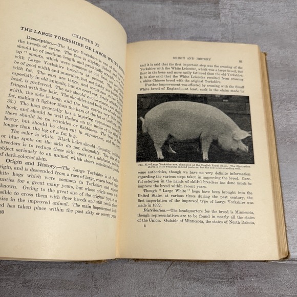 Lippincott's Farm Manuals Productive Swine Husbandry G. E.‎ Day 1913 Pigs Book - Picture 7 of 16